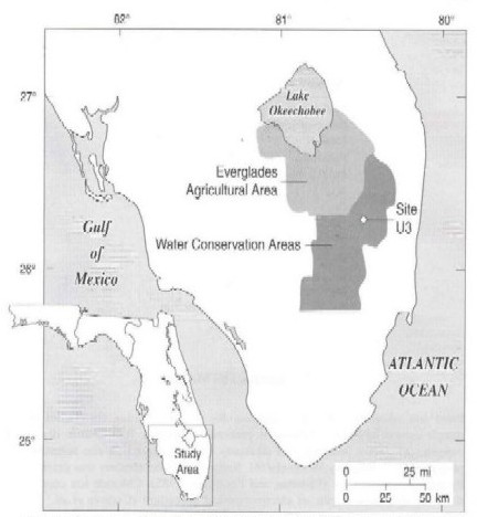 Fig 1. Map showing the location of site U3 in the Everglades Water Conservation Areas.