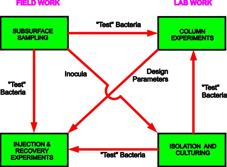 Bacteria - Contaminant Interaction Research Information