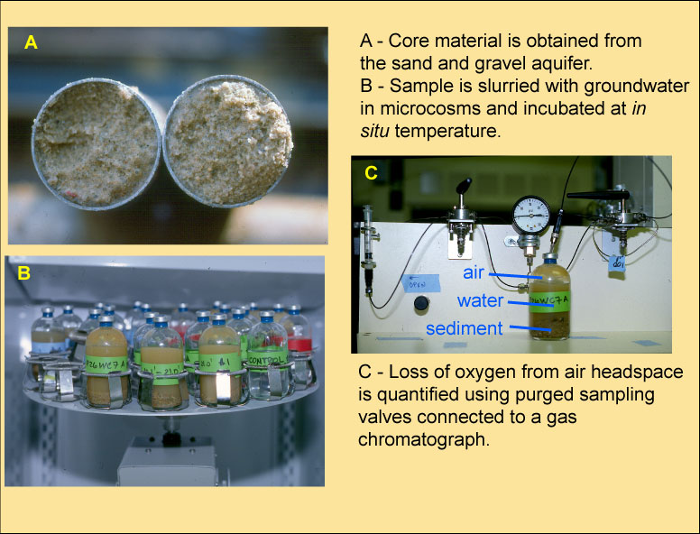 Photographic illustrations of sediment core sample and sample bottles used for microcosm incubations.