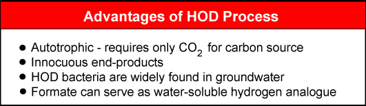 Diagram listing advantages of HOD Process.