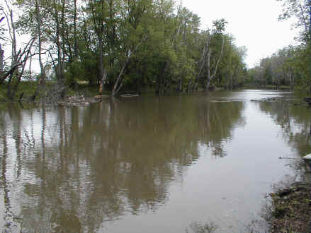 Photograph of Iroquois River in flood, near Foresman, IN, May 2000.