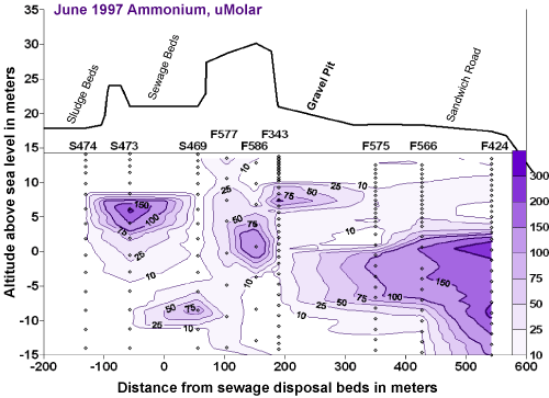 Graph illustrating subsurface Ammonium concentrations south of Massachusetts Military Reservation.