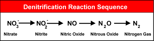 biogeochemistry-of-carbon-and-nitrogen-in-aquatic-environments