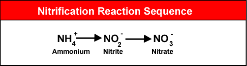 biogeochemistry-of-carbon-and-nitrogen-in-aquatic-environments