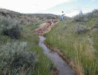 View of Burger Draw, Johnson County, WY.