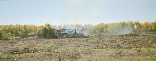 Clearing and burning of riparian trees in the Nebraska Public Power District's Cottonwood Ranch Property - 10/2002.