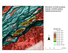 Topographic surveys of Uridil island sites before habitat enhancement.