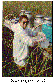 Sampling DOC in Everglades